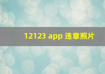 12123 app 违章照片